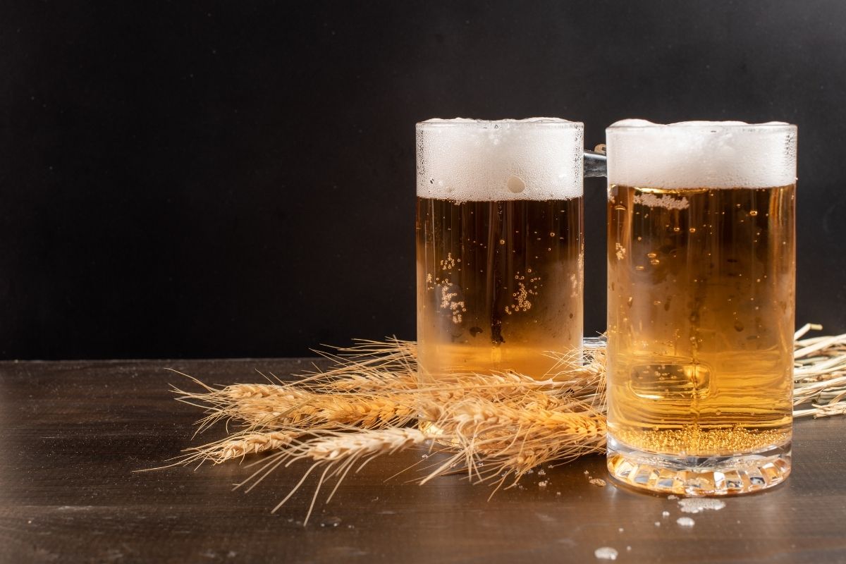 Como dar fim às lesmas