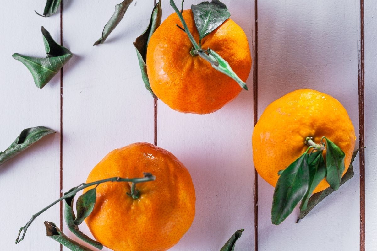 Como diferenciar Poncãn de mexerica e bergamota