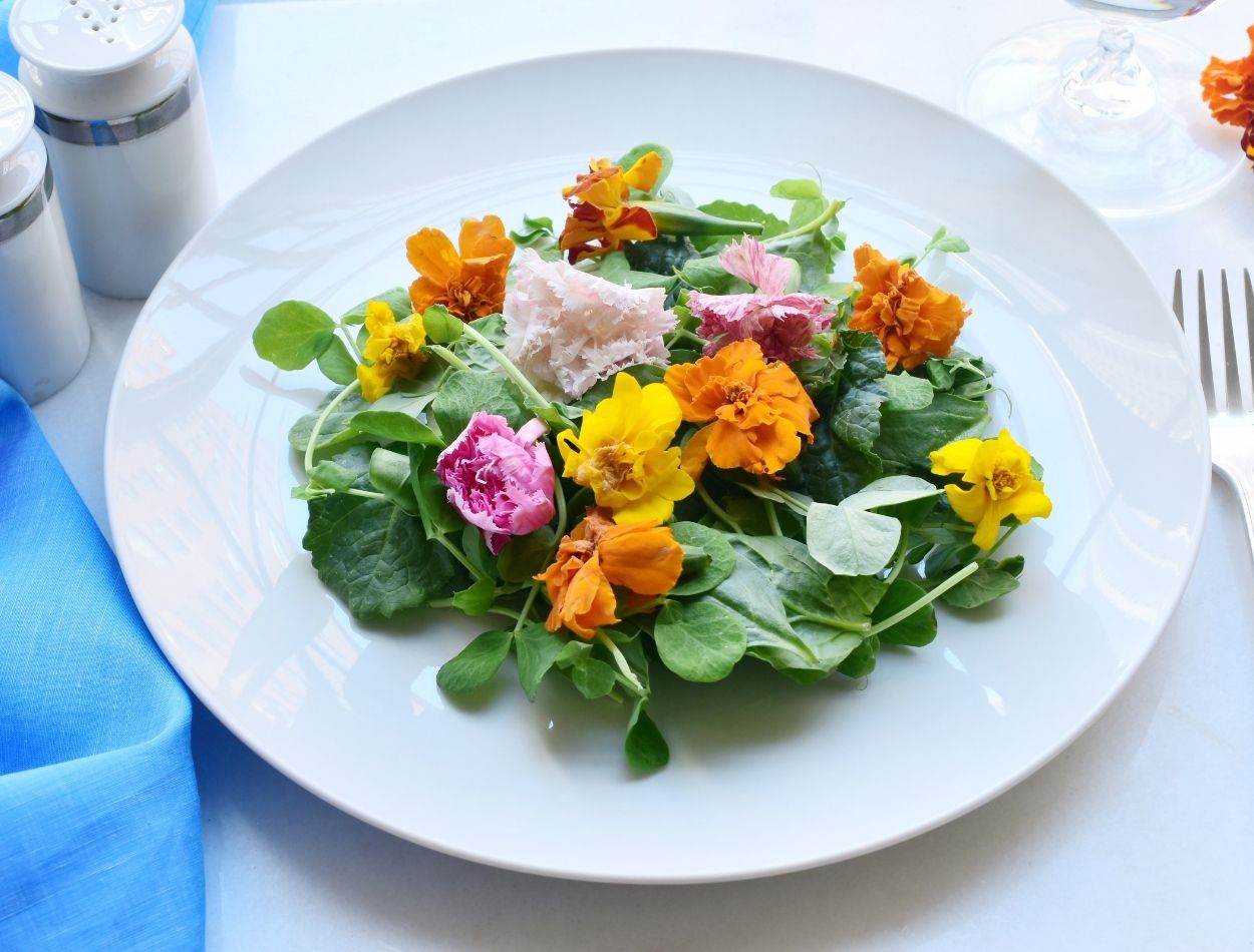 Jardim comestível: veja três flores que podem ir para a mesa