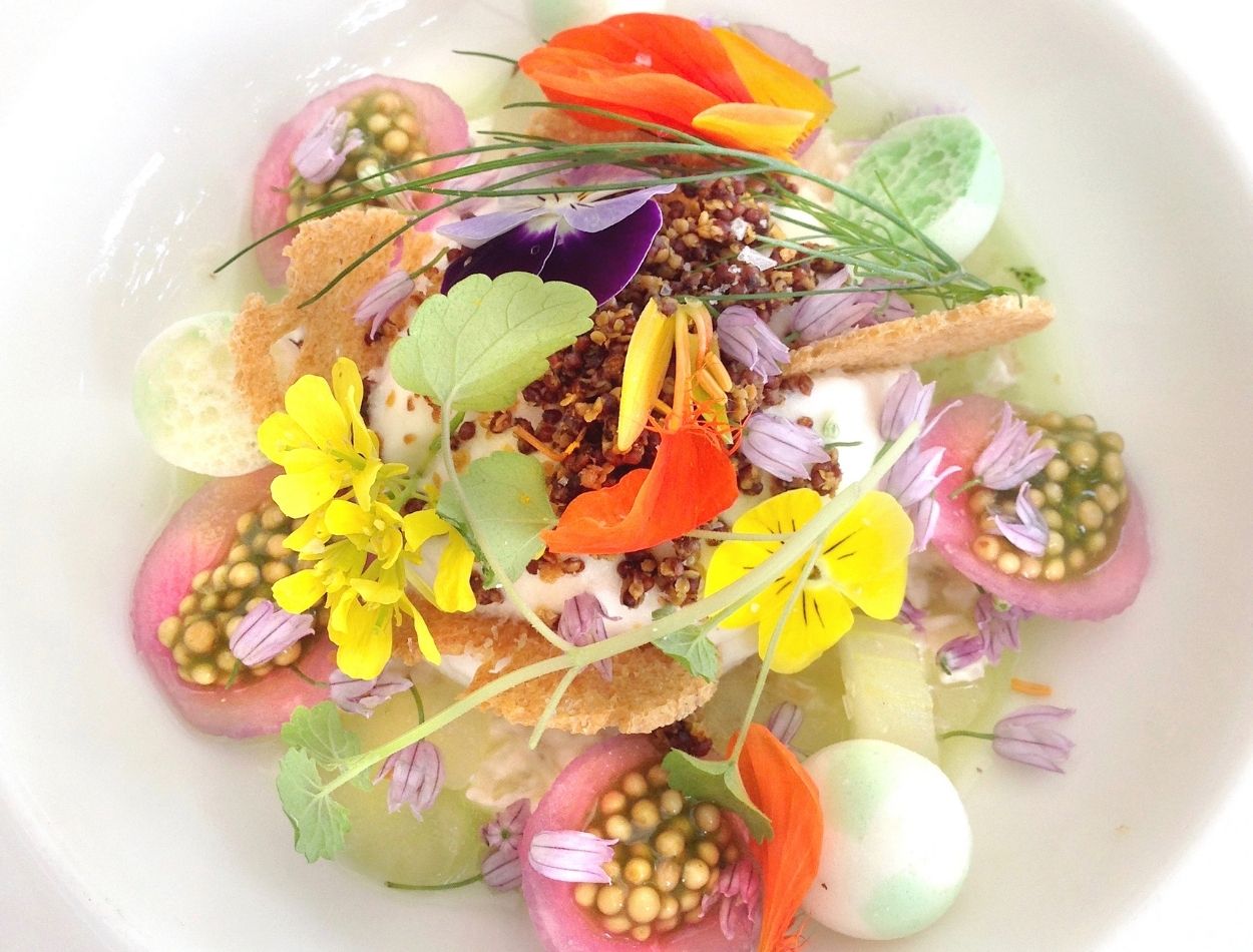 Jardim comestível: veja três flores que podem ir para a mesaJardim comestível: veja três flores que podem ir para a mesa