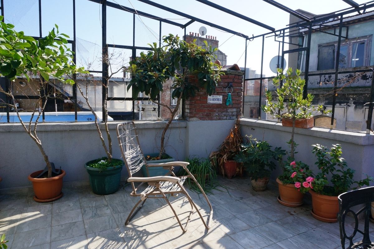 Flores para plantar em vasos grandes