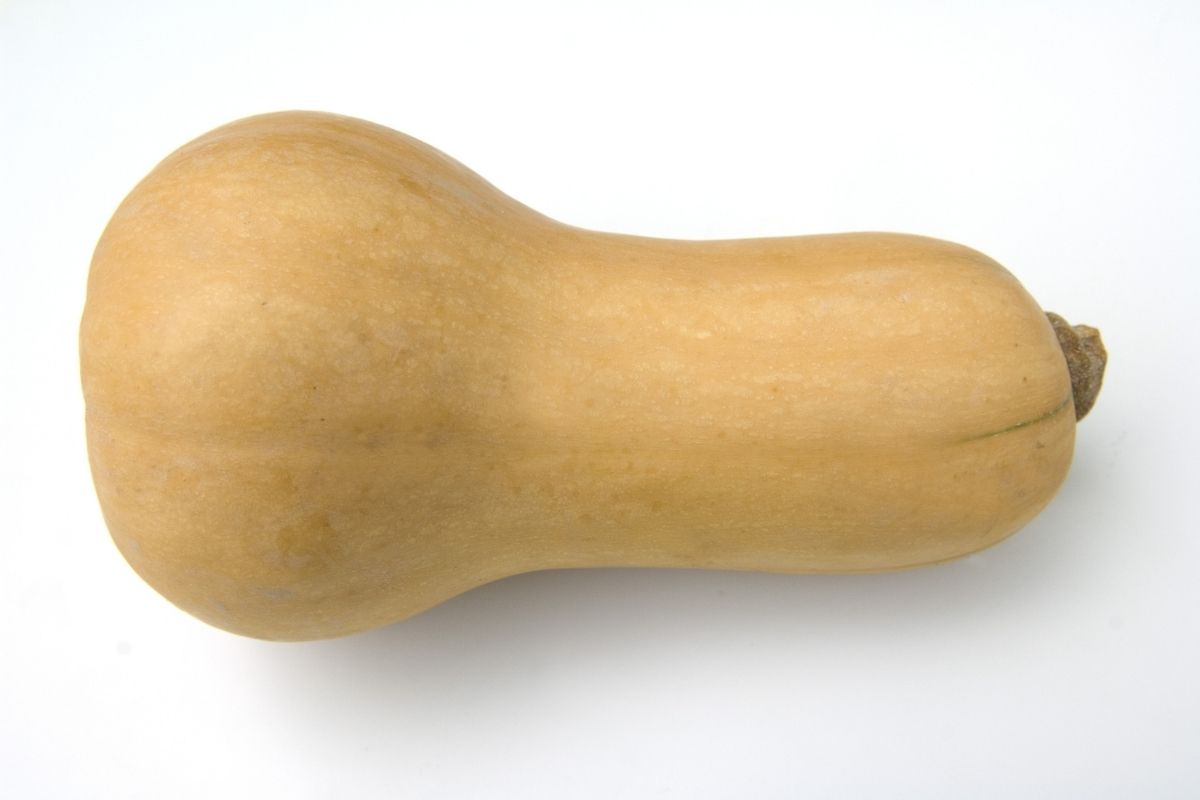 Quanto tempo demora para germinar abóbora