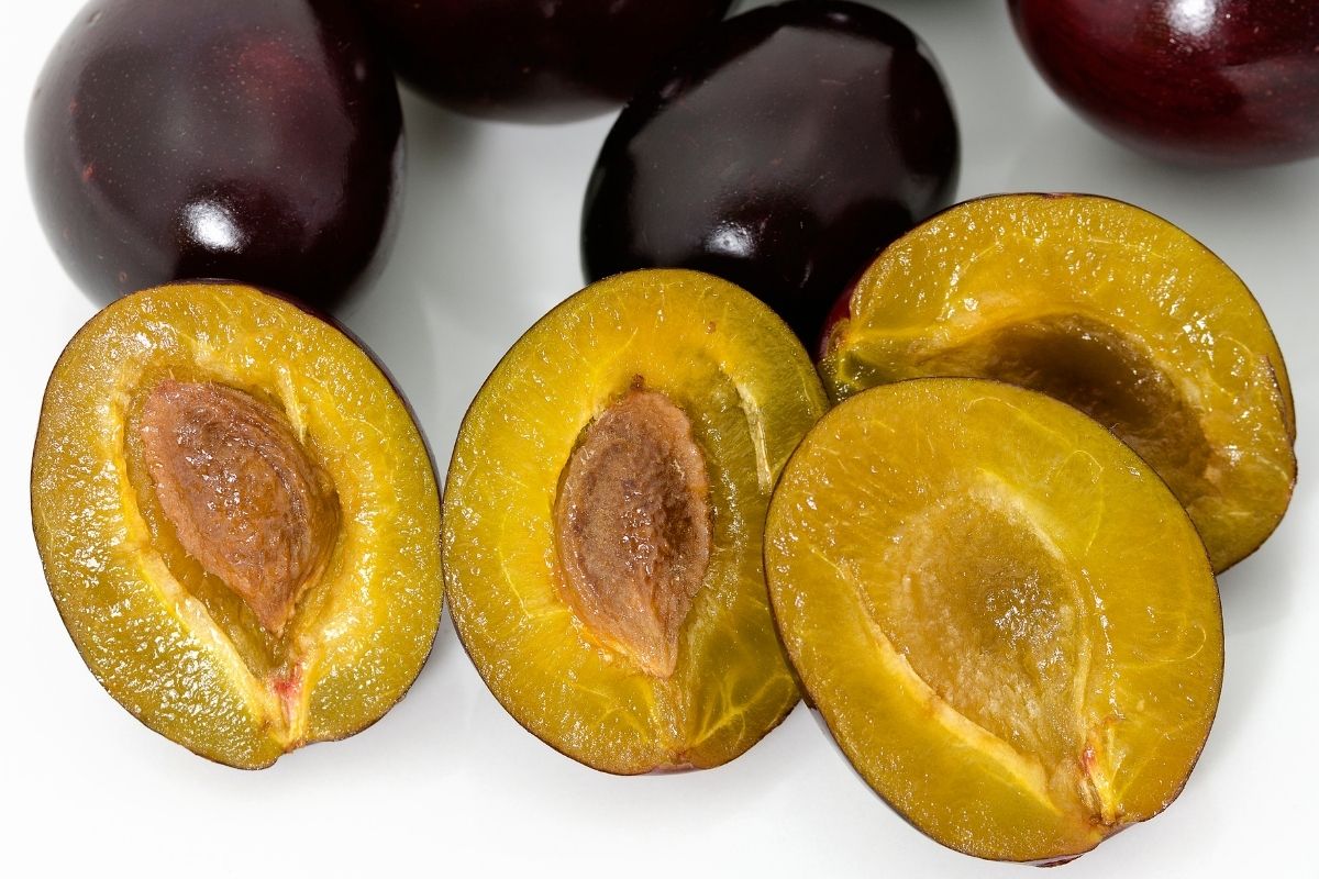 semente de ameixa - Reprodução Canva