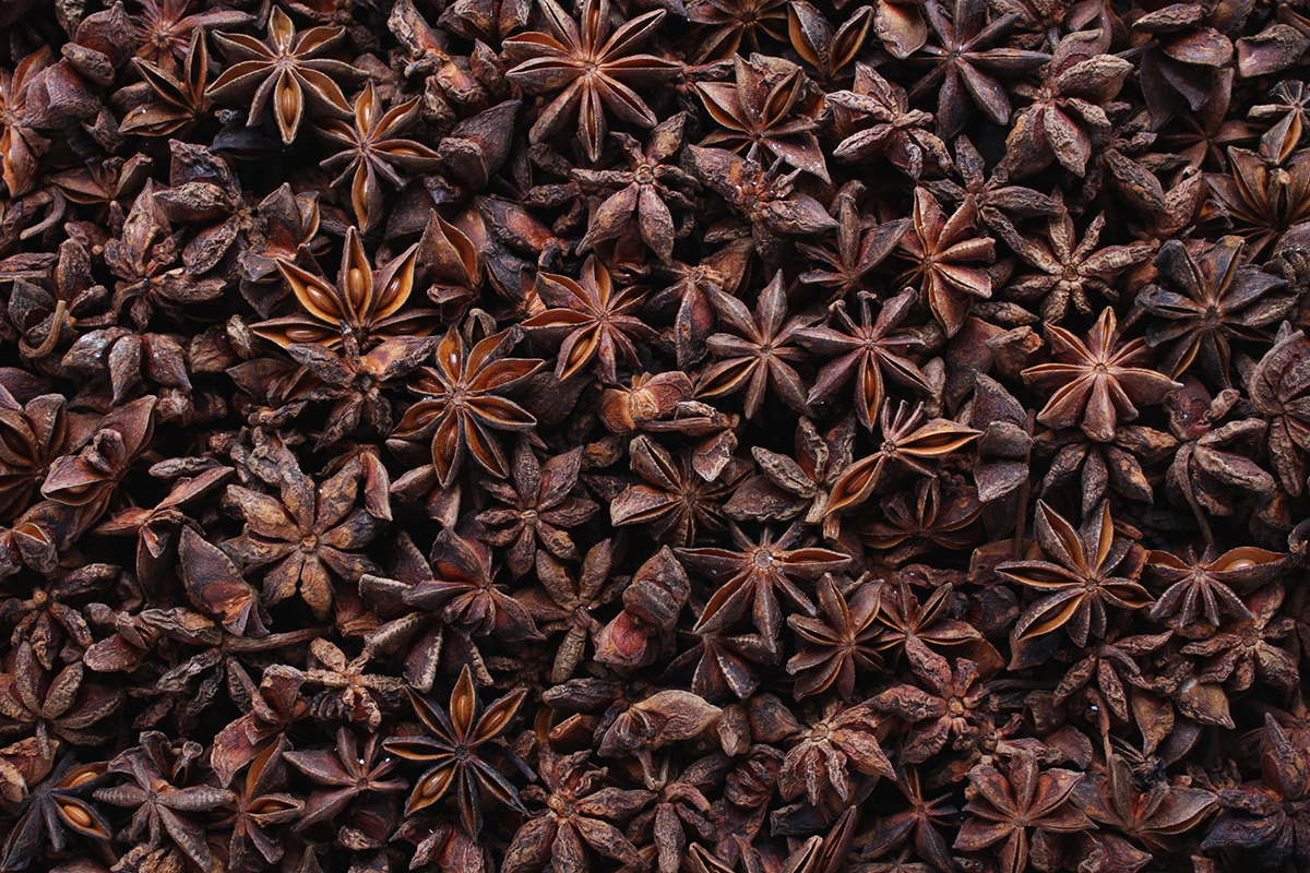 Colheita - Reprodução Canva Colheita - Reprodução Canva