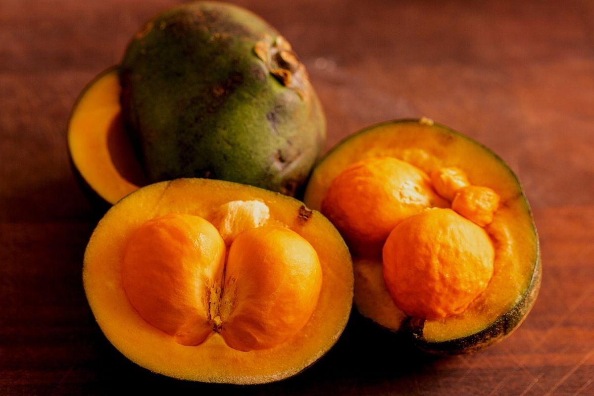 Como plantar um pé de pequi?