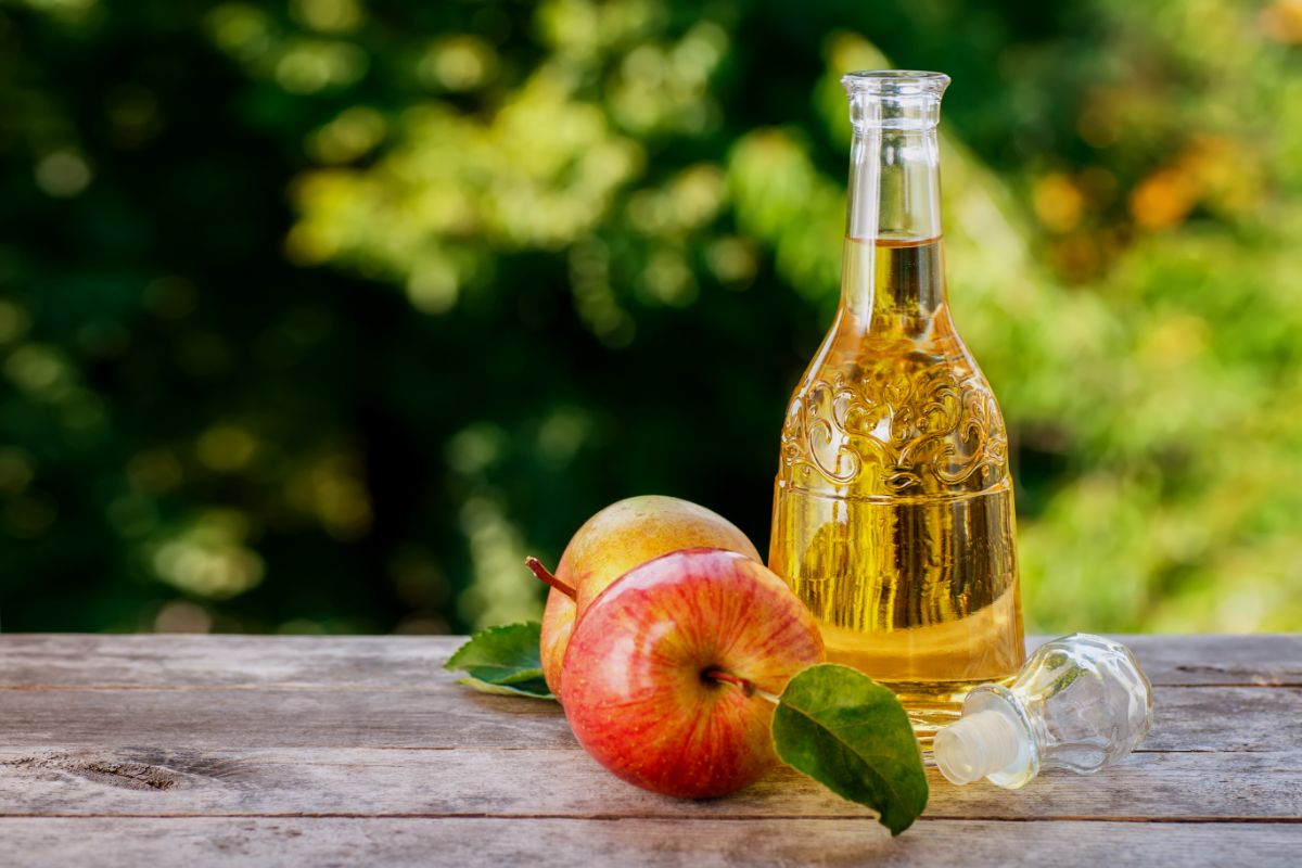 Como fazer inseticida com detergente e vinagre de maçã? — Fonte: Canva Pró