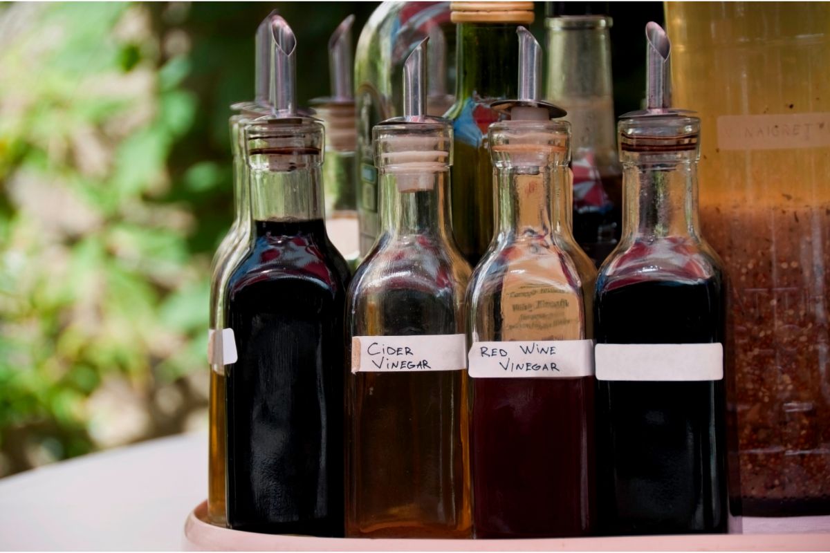 Como usar vinagre como inseticida? — Fonte: Canva Pró
