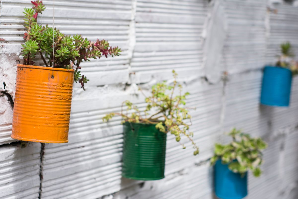 Saiba como criar uma horta em latas de tinta