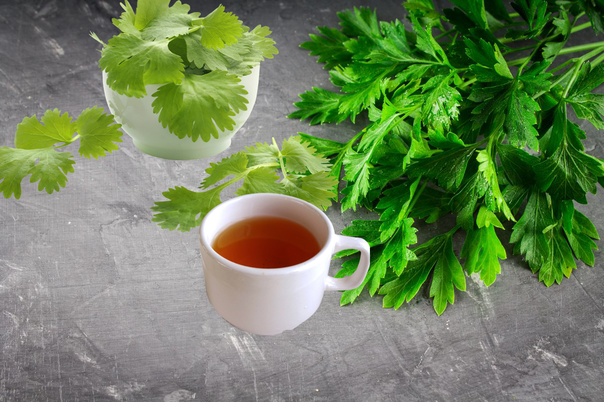 Para que serve o chá de salsa e coentro? — Fonte: Canva Pró