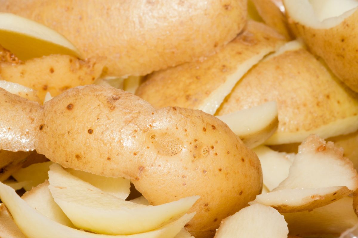 Adubo caseiro casca batata