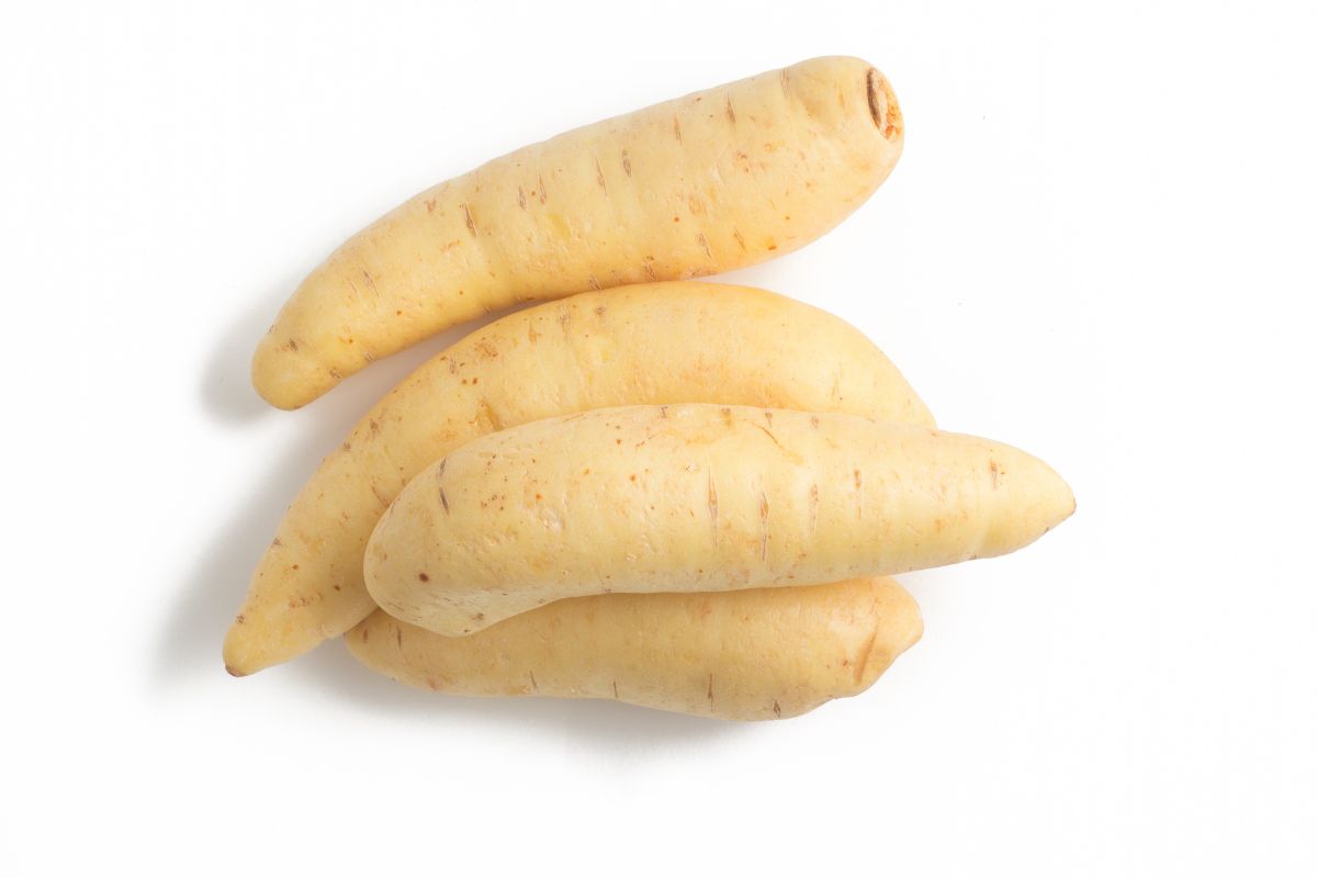 Batata Baroa sem agrotóxico