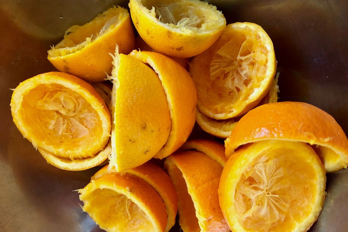 Bagaço da laranja e do limão - Imagem: Canva Pro