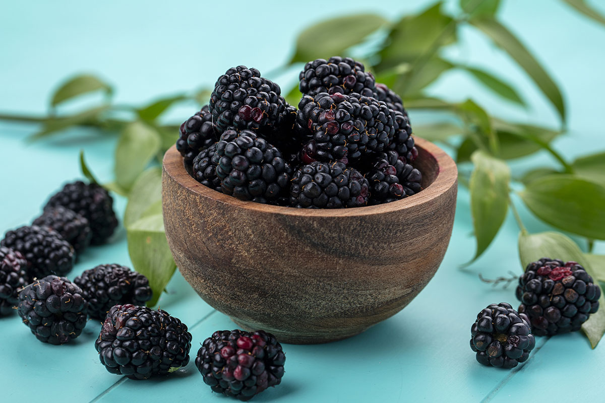 Como cultivar amora no vaso - Reprodução Freepik