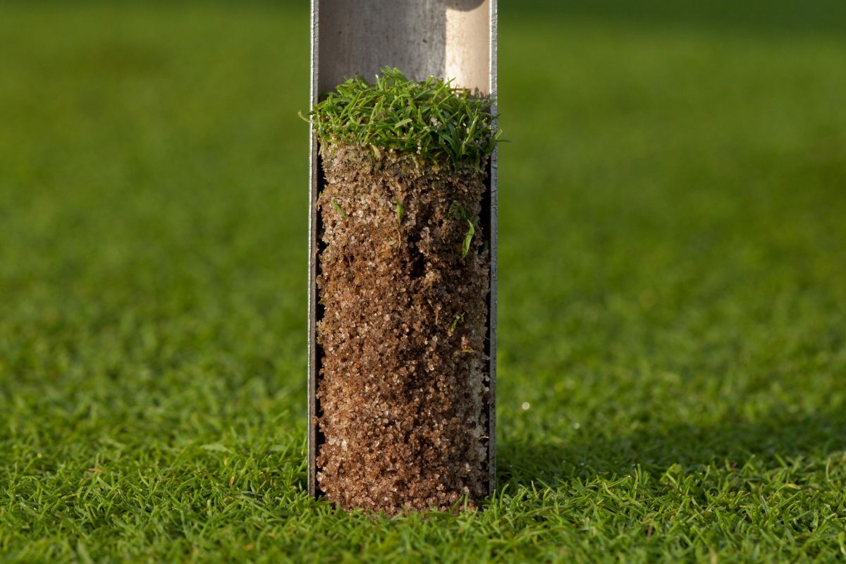 Como preparar um solo com boa drenagem e evitar que as raízes apodreçam