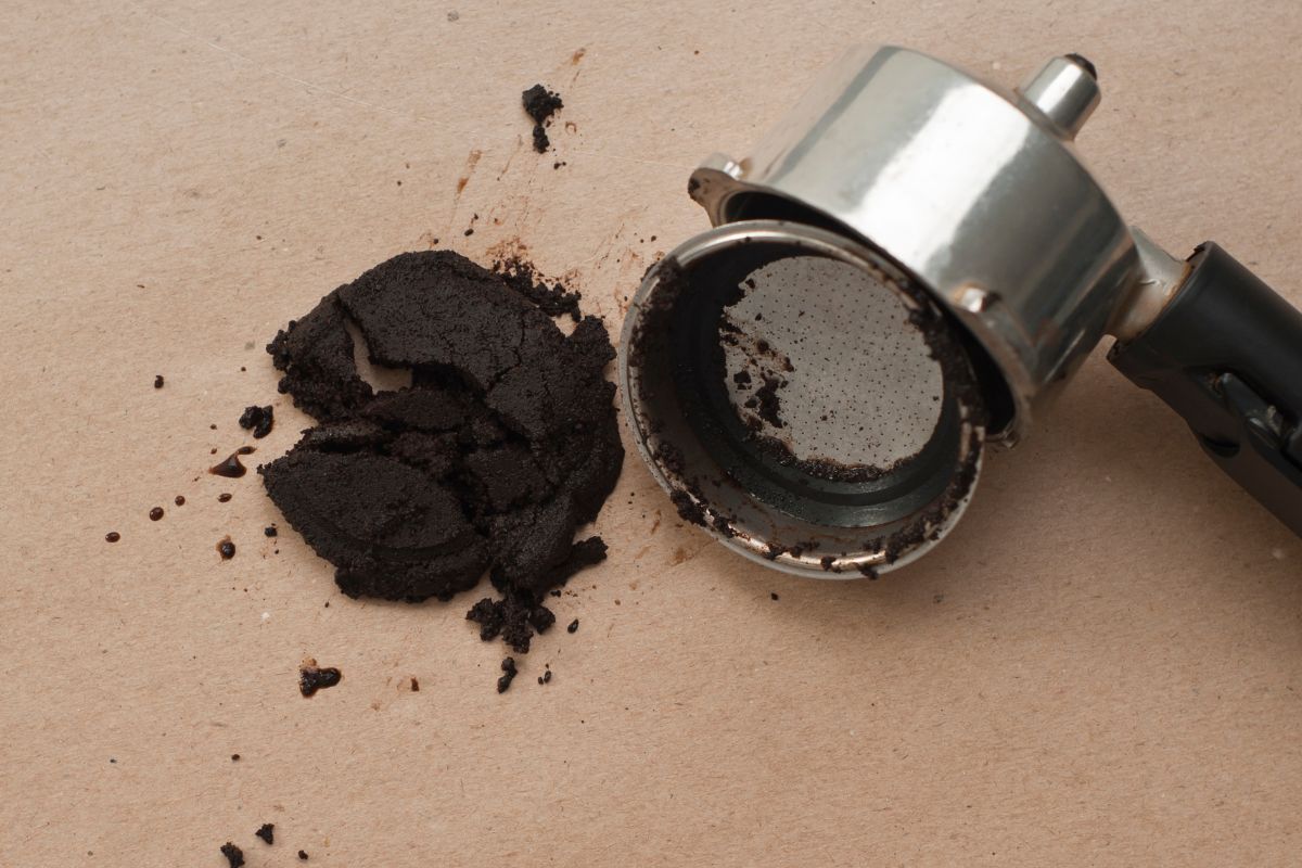 Saiba quais plantas se pode usar adubo de borra de café sem erros