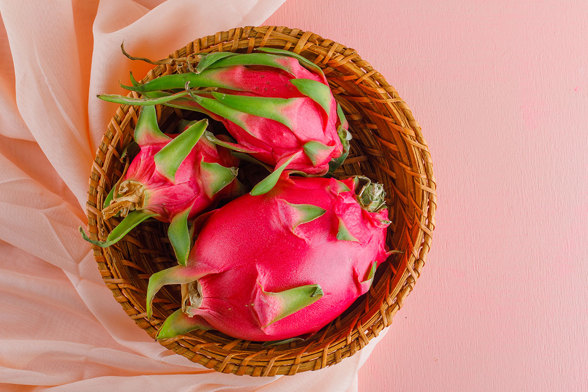 Pitaya - Reprodução Freepik