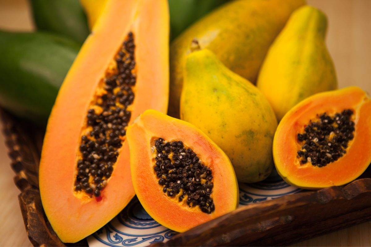 Como cultivar mamão papaia em vasos_ Veja o passo a passo - Reprodução Canva