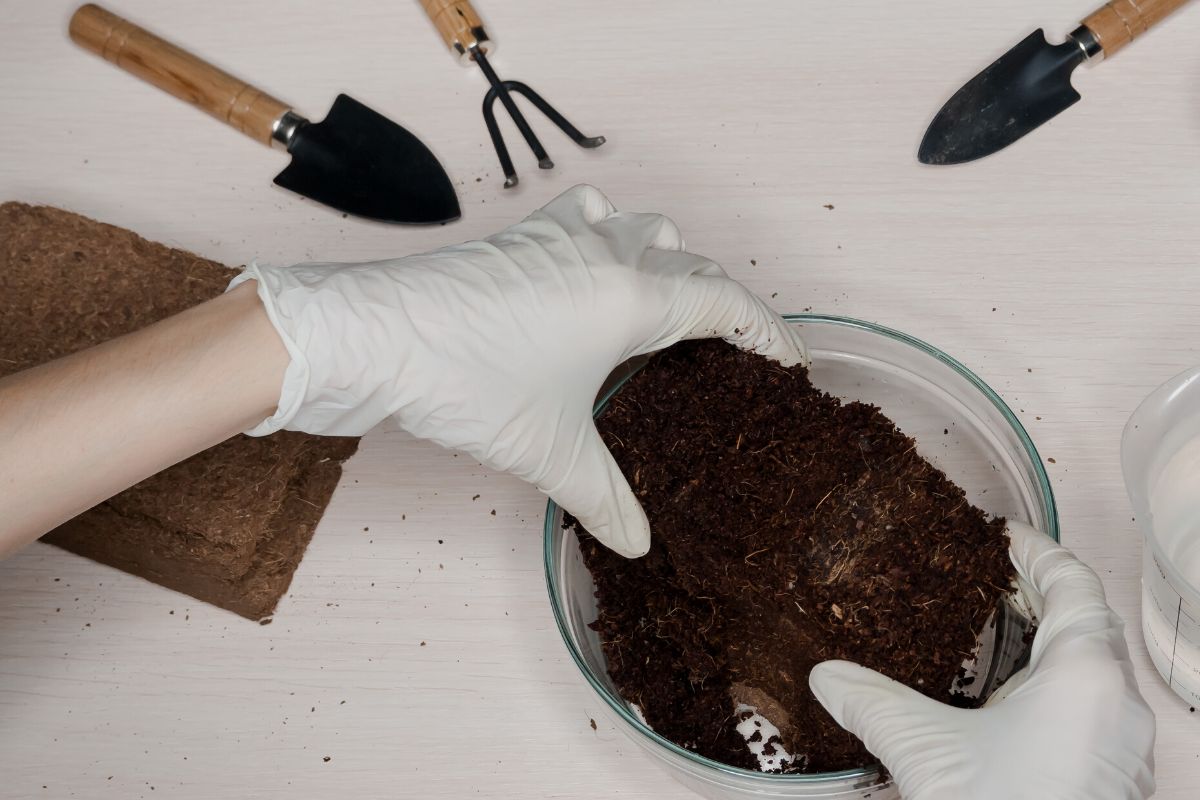 Devo misturar terra comum ao substrato?