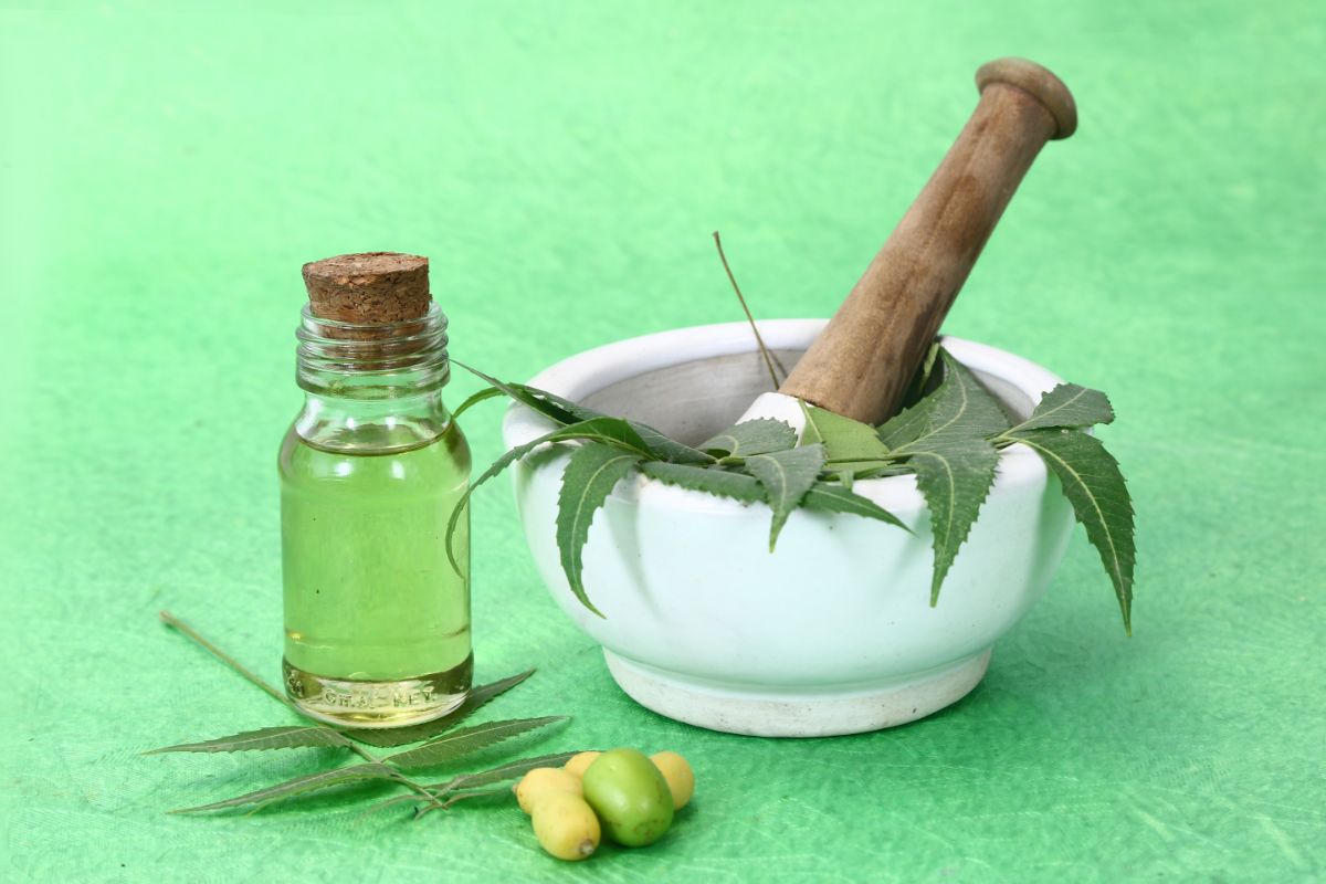Saiba o motivo de sempre ter óleo de neem em sua casa e resolva muitos problemas facilmente — Reprodução Canva