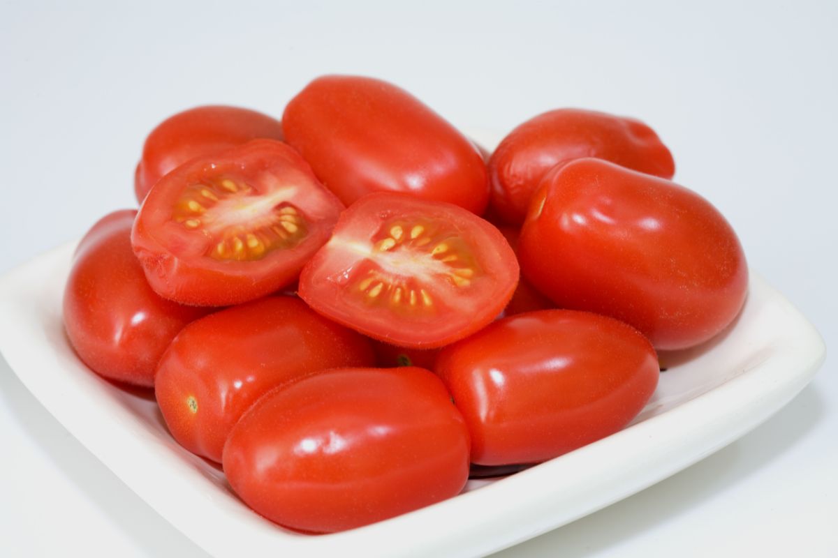 Como germinar sementes de tomate italiano?