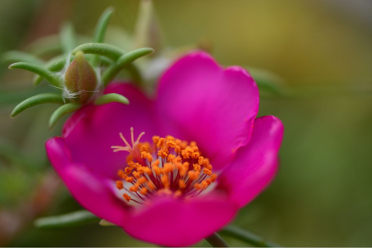 Onze horas morrendo o que fazer