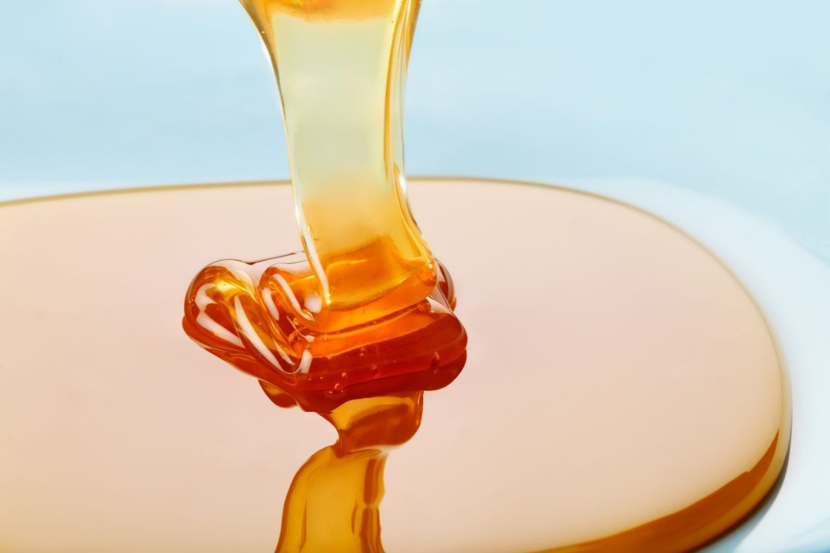 Saiba como identificar se o mel é verdadeiro - Reprodução Canva Pró