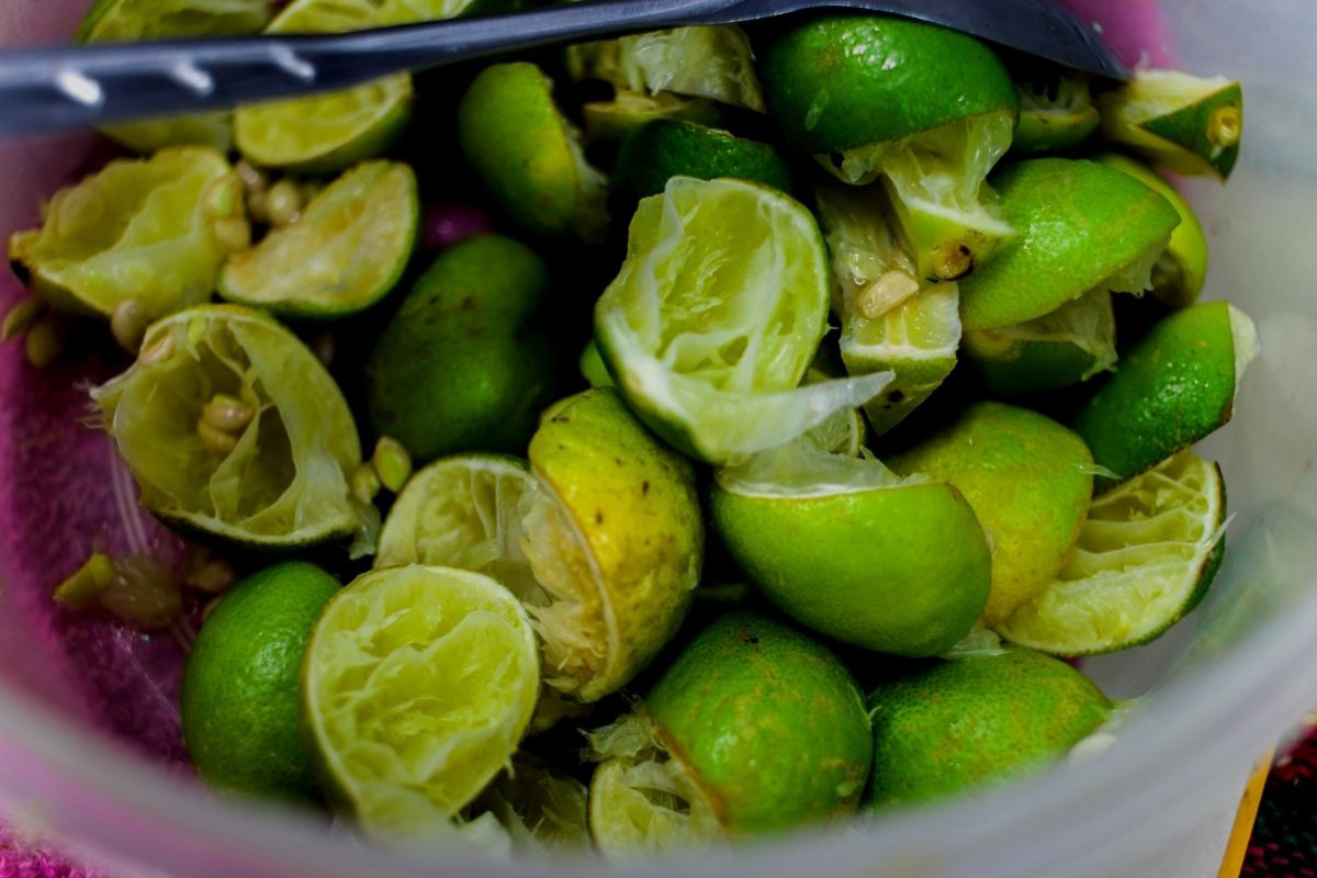 Como reaproveitar o bagaço do limão Reprodução Canva Pró