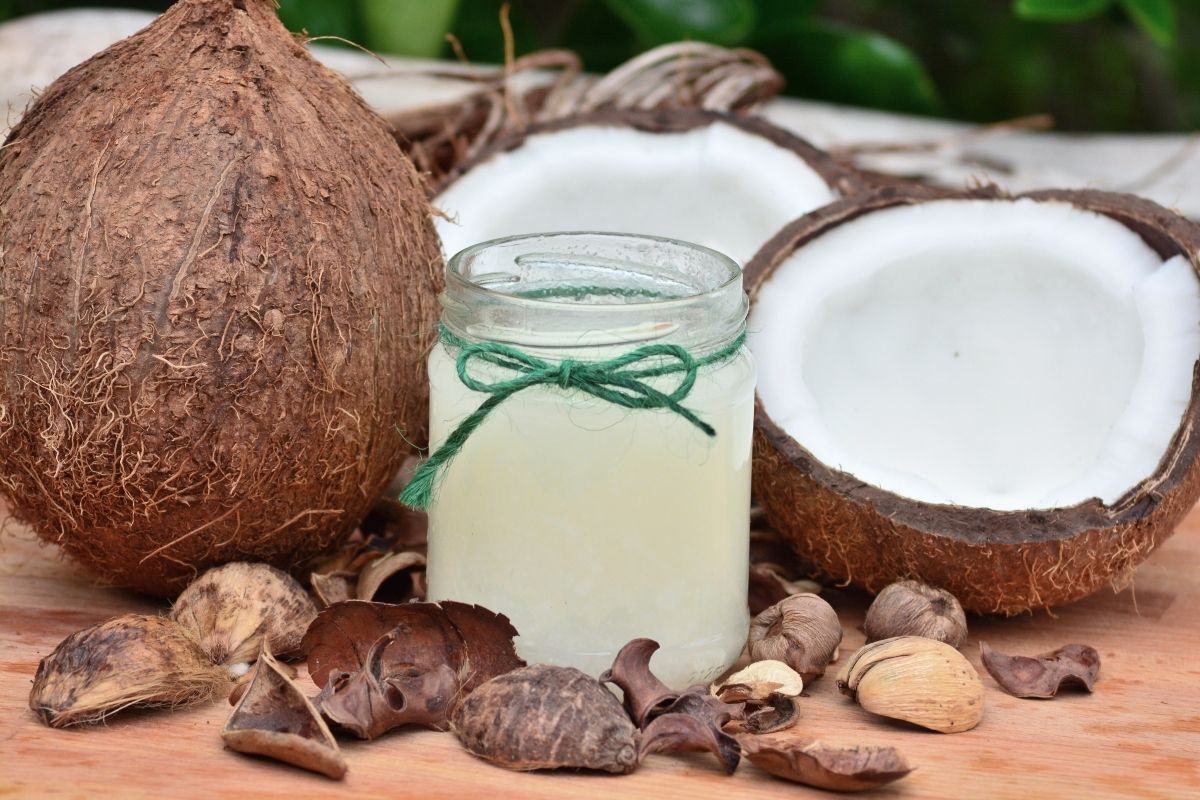 Conhecendo os benefícios do óleo de coco para sua beleza