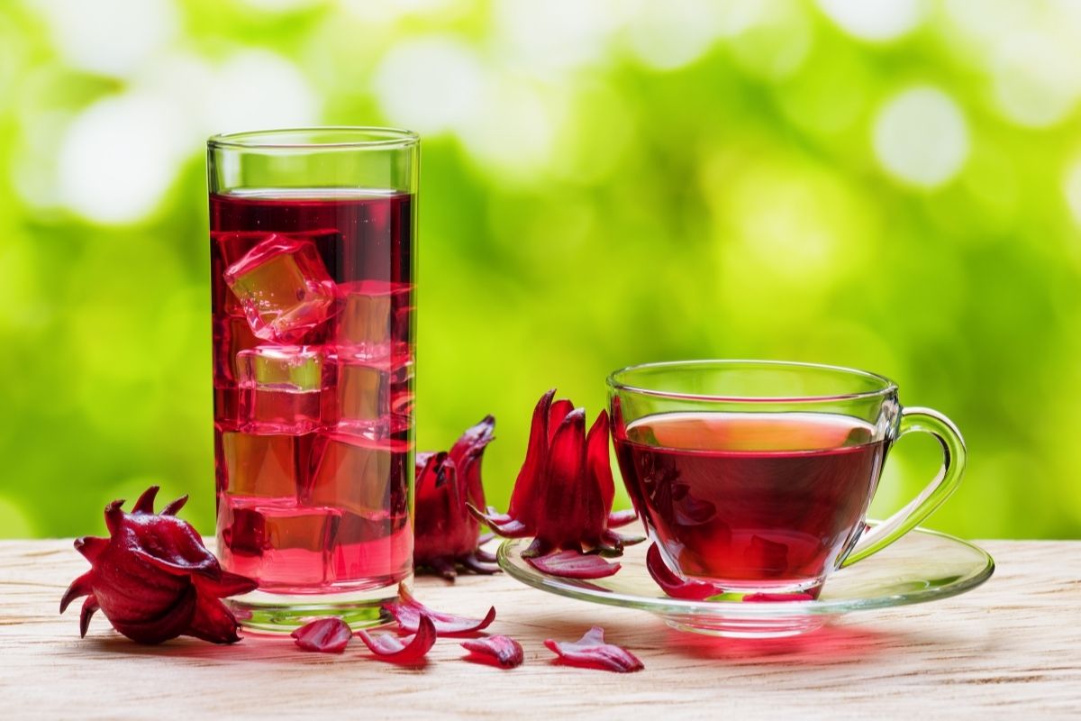 Usos do chá de hibisco para a sua beleza