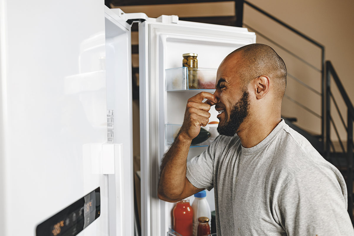 Truque para eliminar cheiro ruim da geladeira - Reprodução Freepik