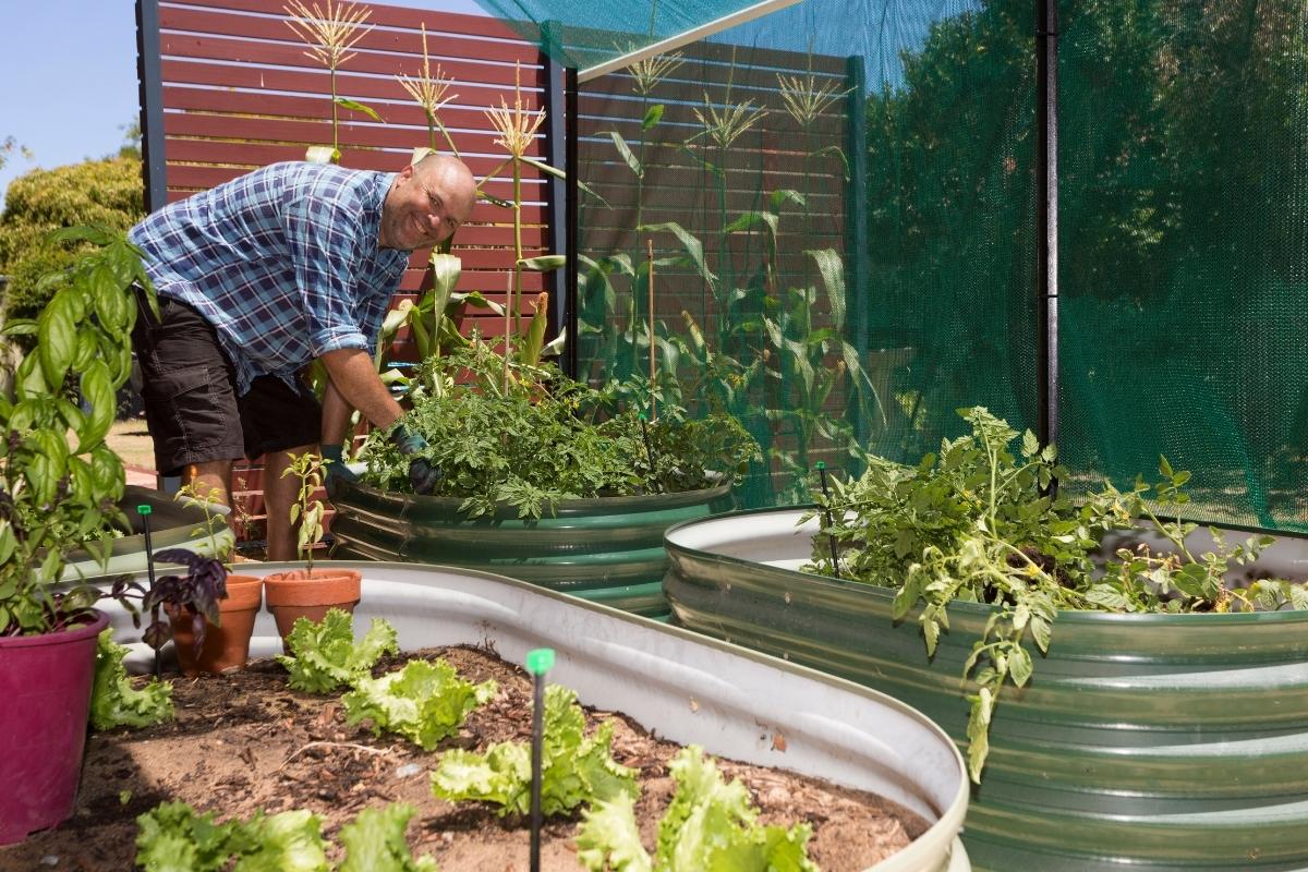 3 dicas para cultivar horta dentro de casa