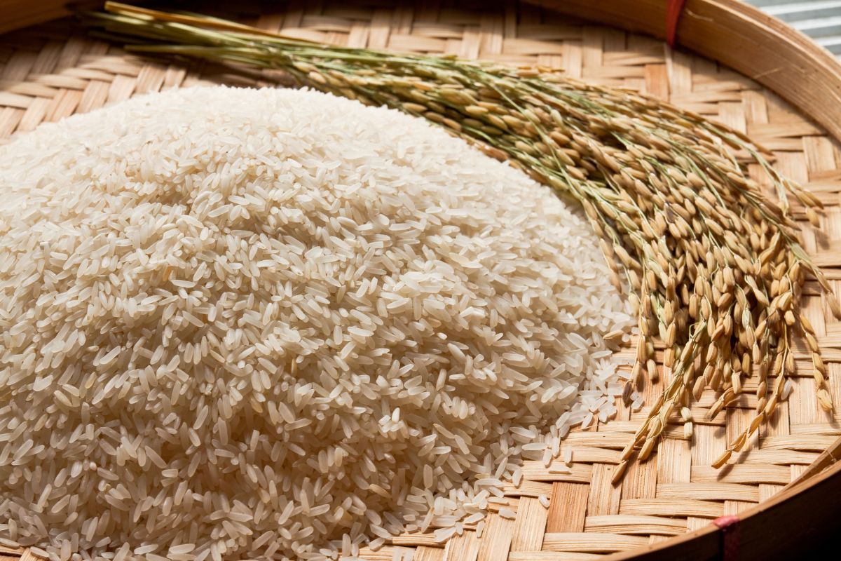 3 dicas práticas e certeiras para seu arroz ficar soltinho e delicioso - Foto: Canva