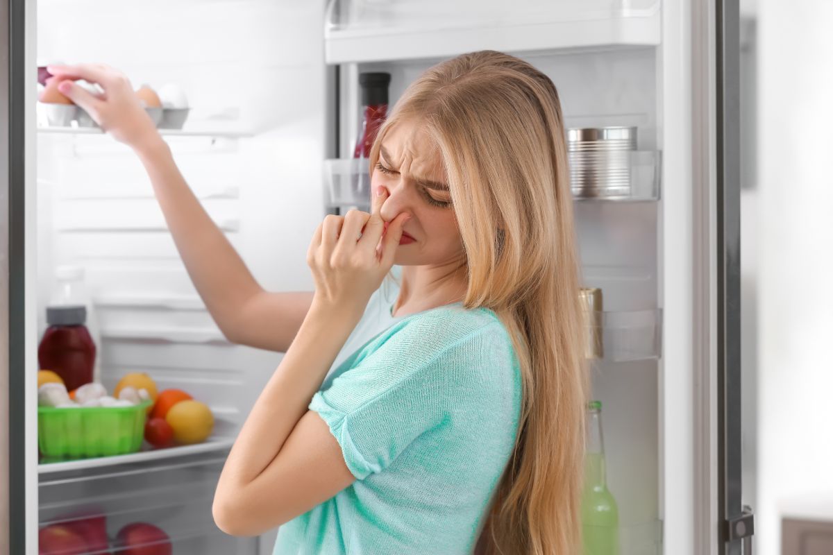 4 maneiras de tirar mau cheiro na sua geladeira e como evitar o problema - Foto: Canva
