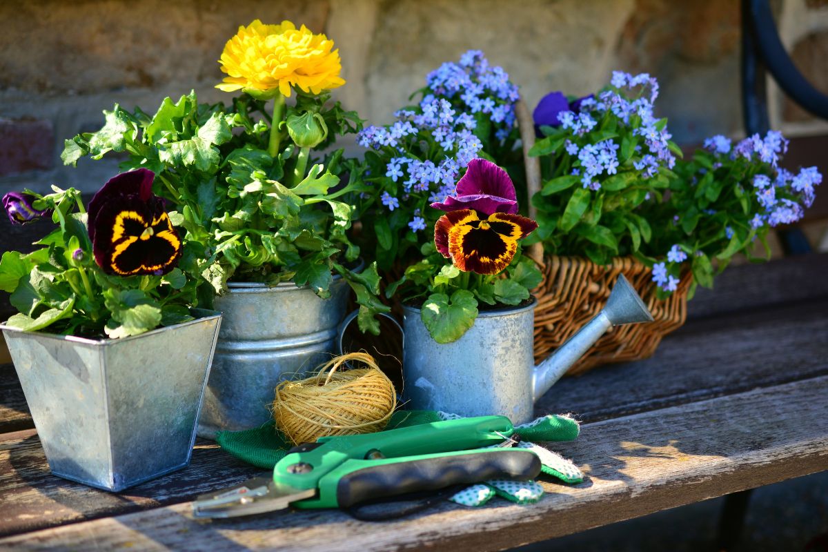 Como transformar móveis antigos em vasos de flores; veja agora. Foto: Canva Pro