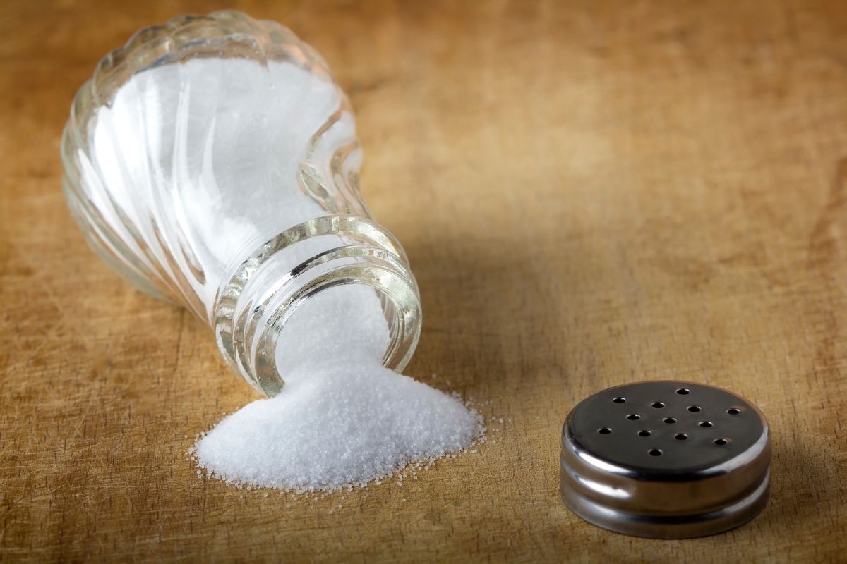 Colocou muito sal? Aprenda 3 soluções para salvar o alimento. Foto: Canva pro