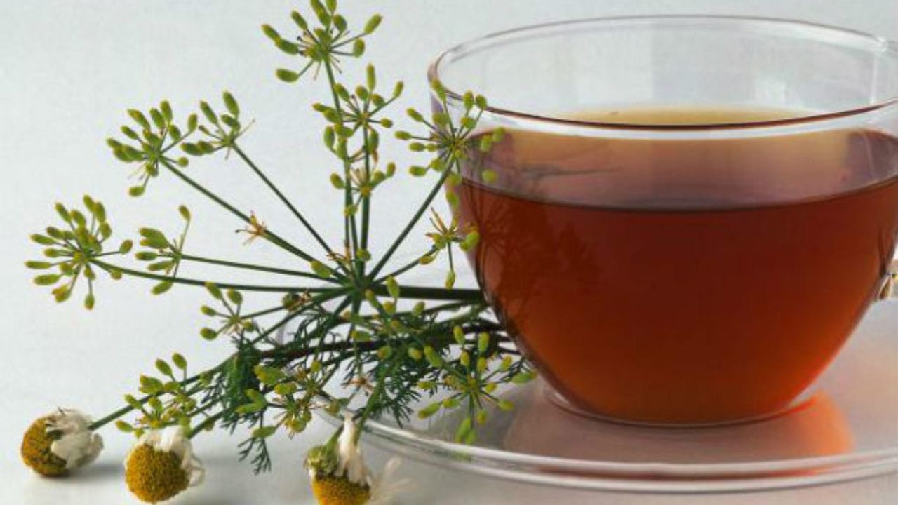 Chá de erva doce é bom para quê? Descubra seus benefícios e como fazer