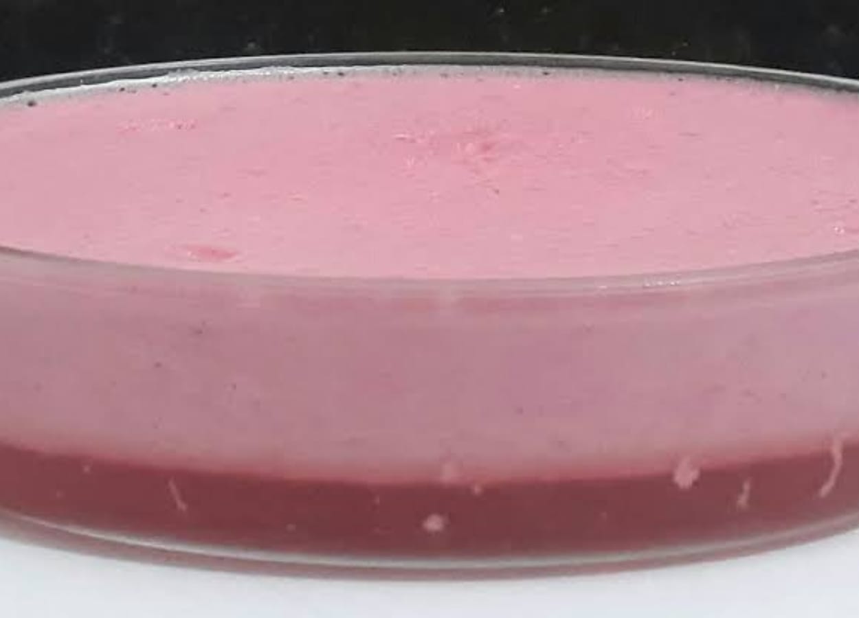 A gelatina cremosa é uma versão diferente da sobremesa comum, ao qual nós estamos acostumados