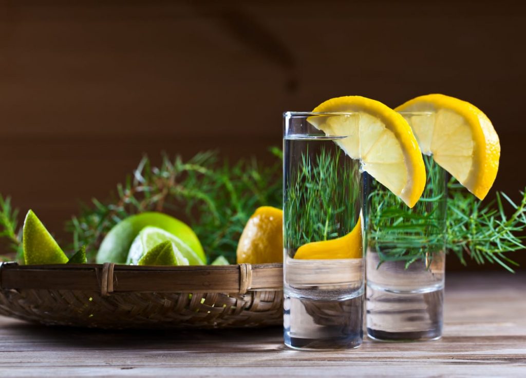 Drink Gin Citrus conheça o coquetel de gin com Schweppes Drink Gin Citrus conheça o coquetel de gin com Schweppes