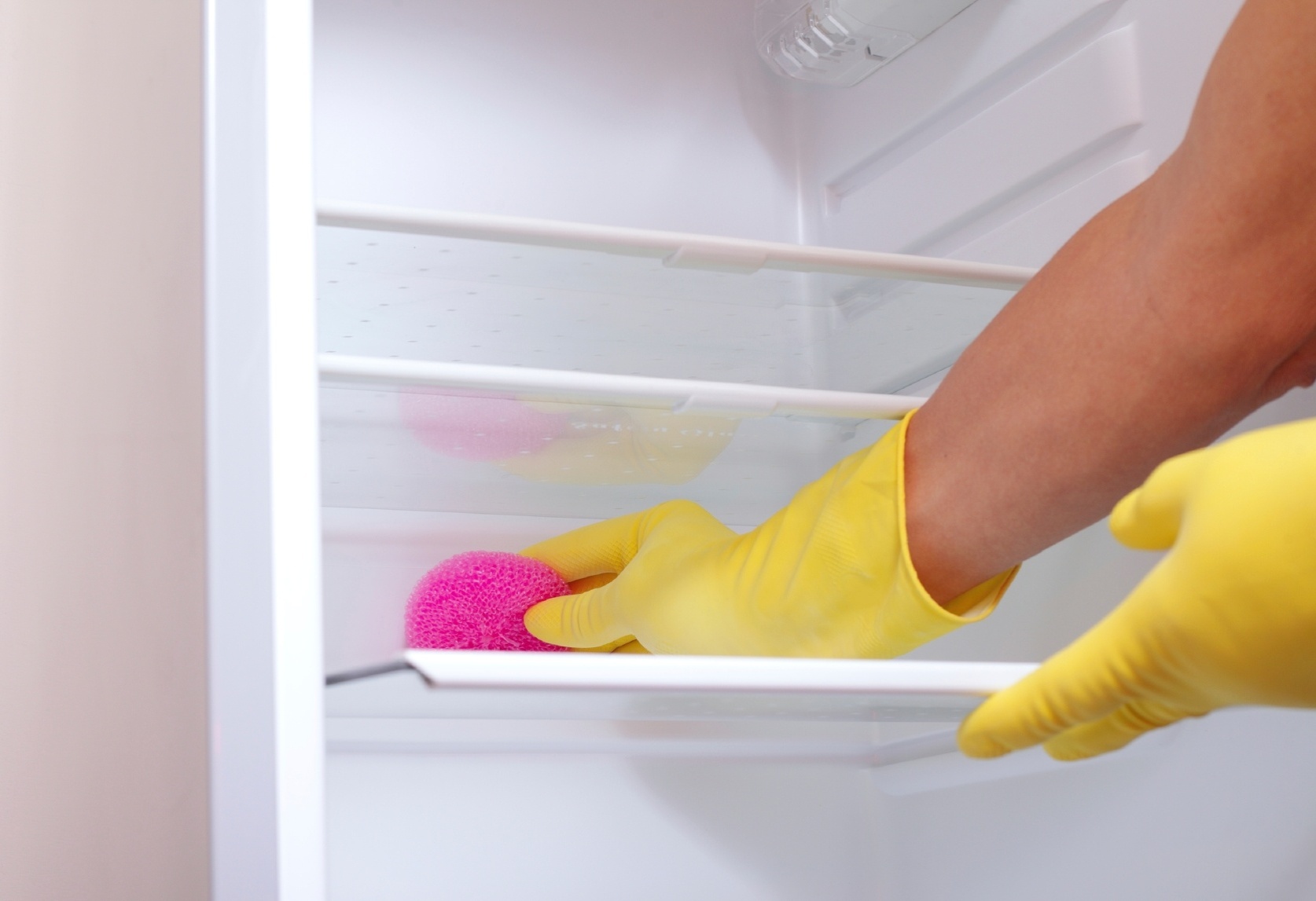 Dicas da limpeza da geladeira: frequência e maneira correta de fazer; confira tudo agora mesmo