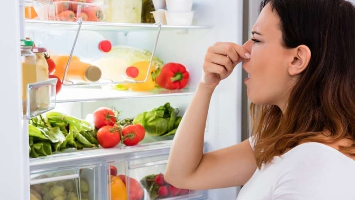 5 dicas para não deixar a geladeira com mau cheiro: veja como se livrar desse incômodo