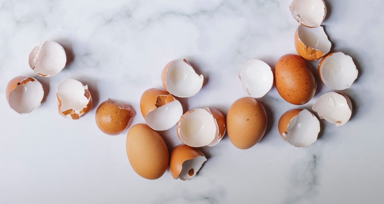 Como reaproveitar casca de ovo: confira utilizações super interessantes que você nem imaginava