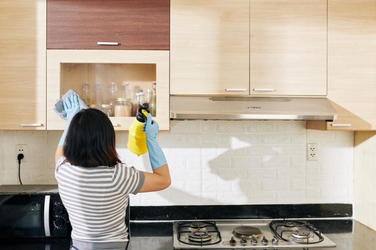 Como eliminar carunchos e outros insetos dos armários da cozinha? Confira agora mesmo dicas úteis e práticas