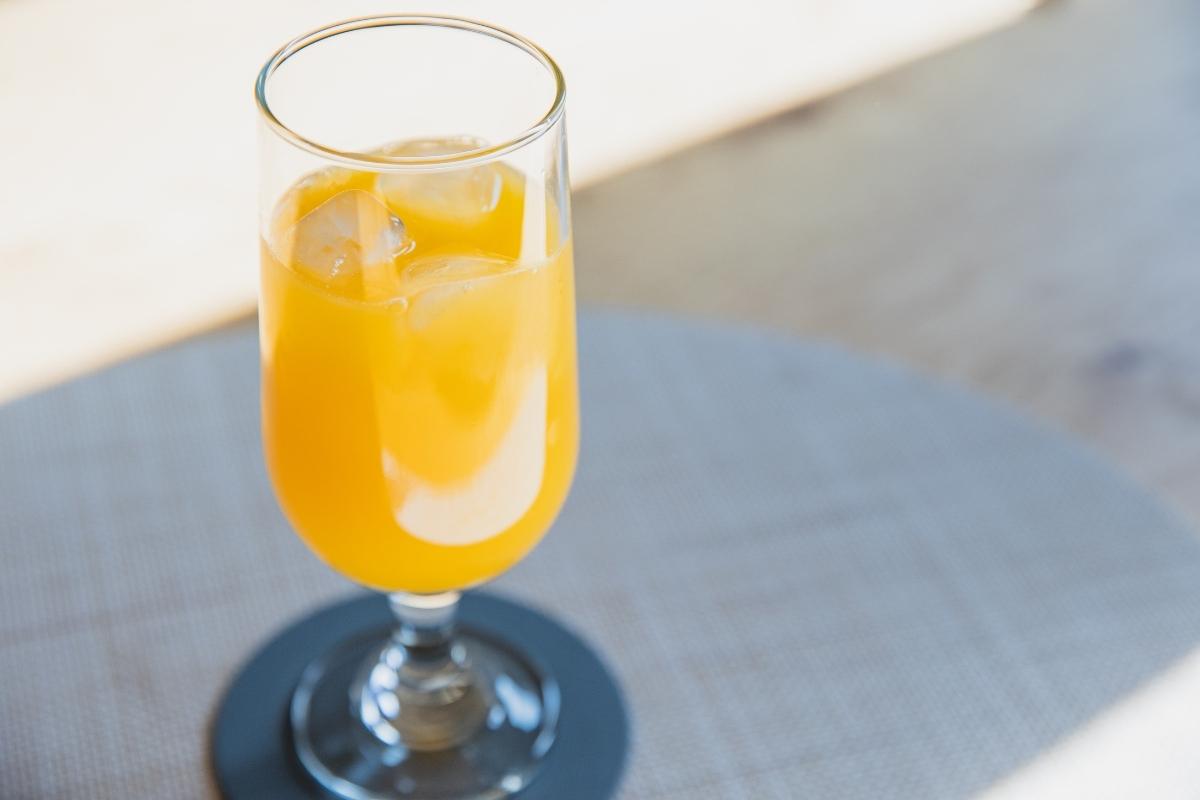 Drink Amarula Fashion: aprenda a fazer essa bebida mista simples e deliciosa
