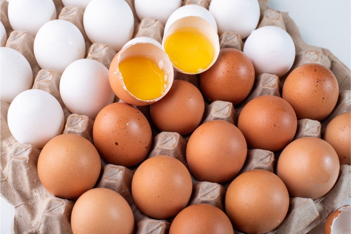 Segurança alimentar: saiba agora mesmo porque você não deve higienizar o ovo