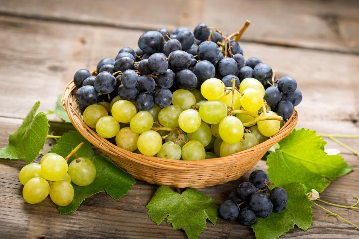 3 frutas que devem ser evitadas por diabéticos: confira e mantenha a glicemia controlada