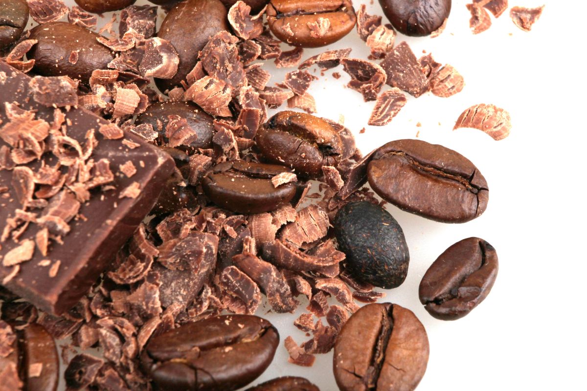 Bebida deliciosa para degustar: café com chocolate - Foto: Canva