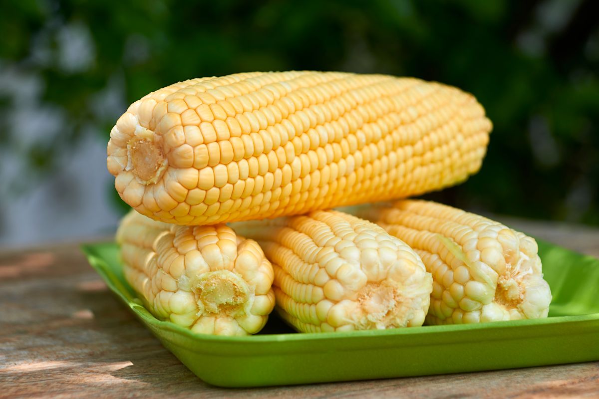Bolinho de milho verde; faça uma pratada para hora do lanche - Reprodução Canva