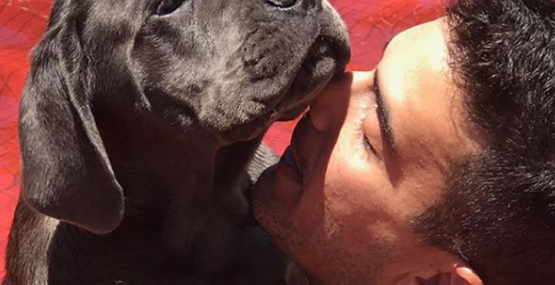 Andre Marques, pet - Reprodução do Instagram