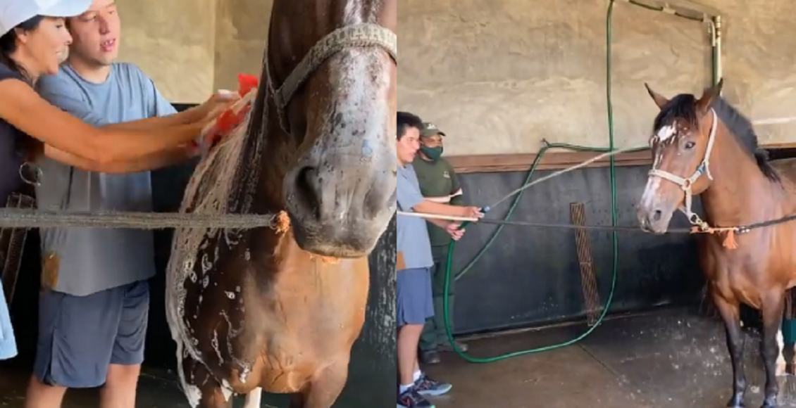 Suzana Gullo, Marcos Mion, Romeo - Reprodução do Instagram