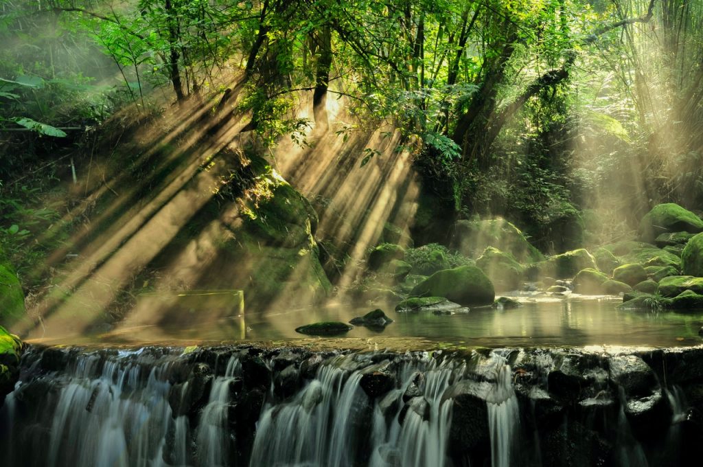 Lugares baratos com cachoeiras para visitar no Paraná. Foto: Pexels.